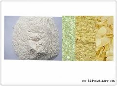 SF-40 Garlic Powder Making Product Line