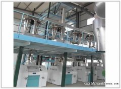 Chili Processing Line Equipment