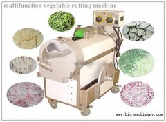 Multi-function Vegetable Cutting Machine