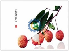 How to Peel Lychee -by Lychee Peeling Machine & Lychee P