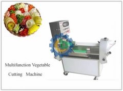 Multifunction Vegetable Cutting Machine