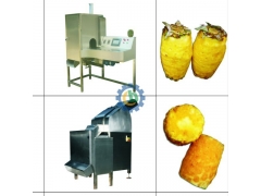 Pineapple Processing Machine