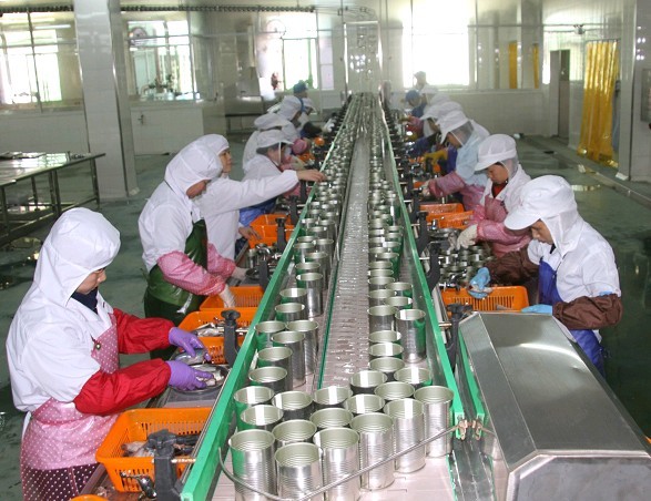 Canned Fish Production Line